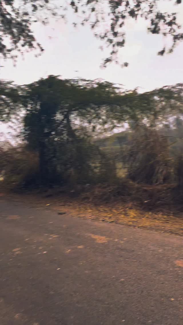 danny4to9 게시물 이미지: Evening Ride + Muzic 😎