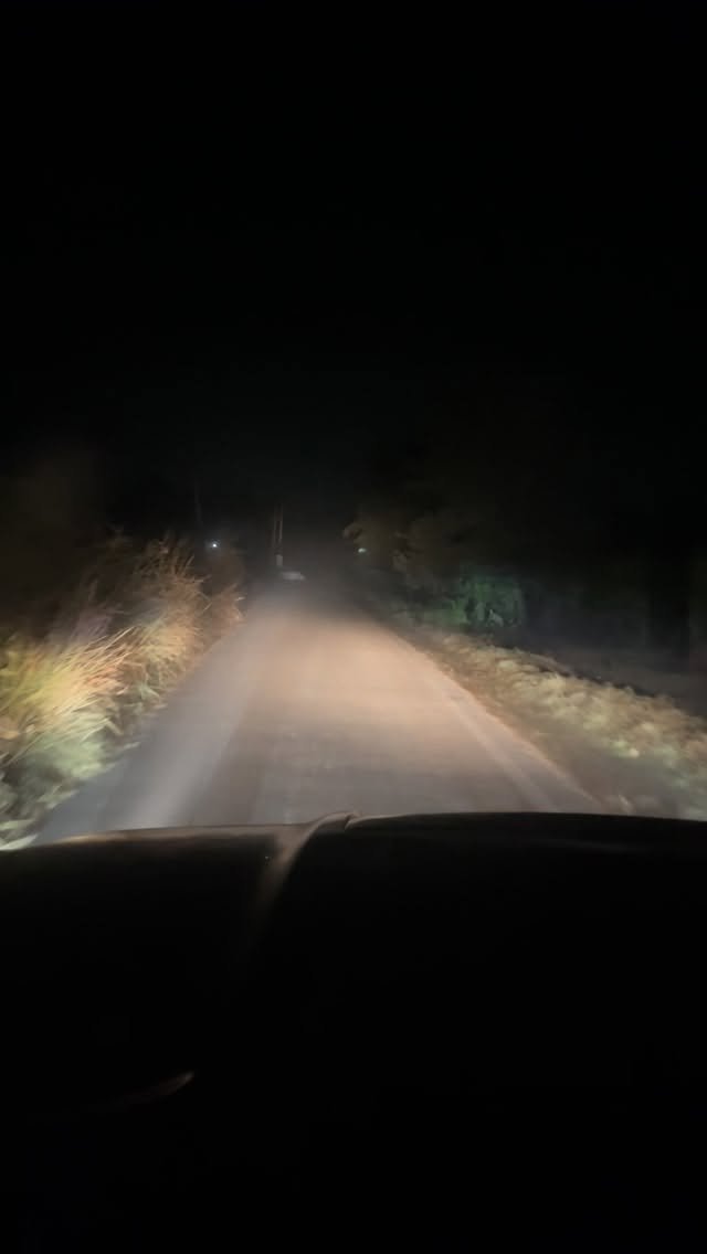 danny4to9 게시물 이미지: E Bihar Hatey Pagli 💀 2AM Drive in Forest 🌳