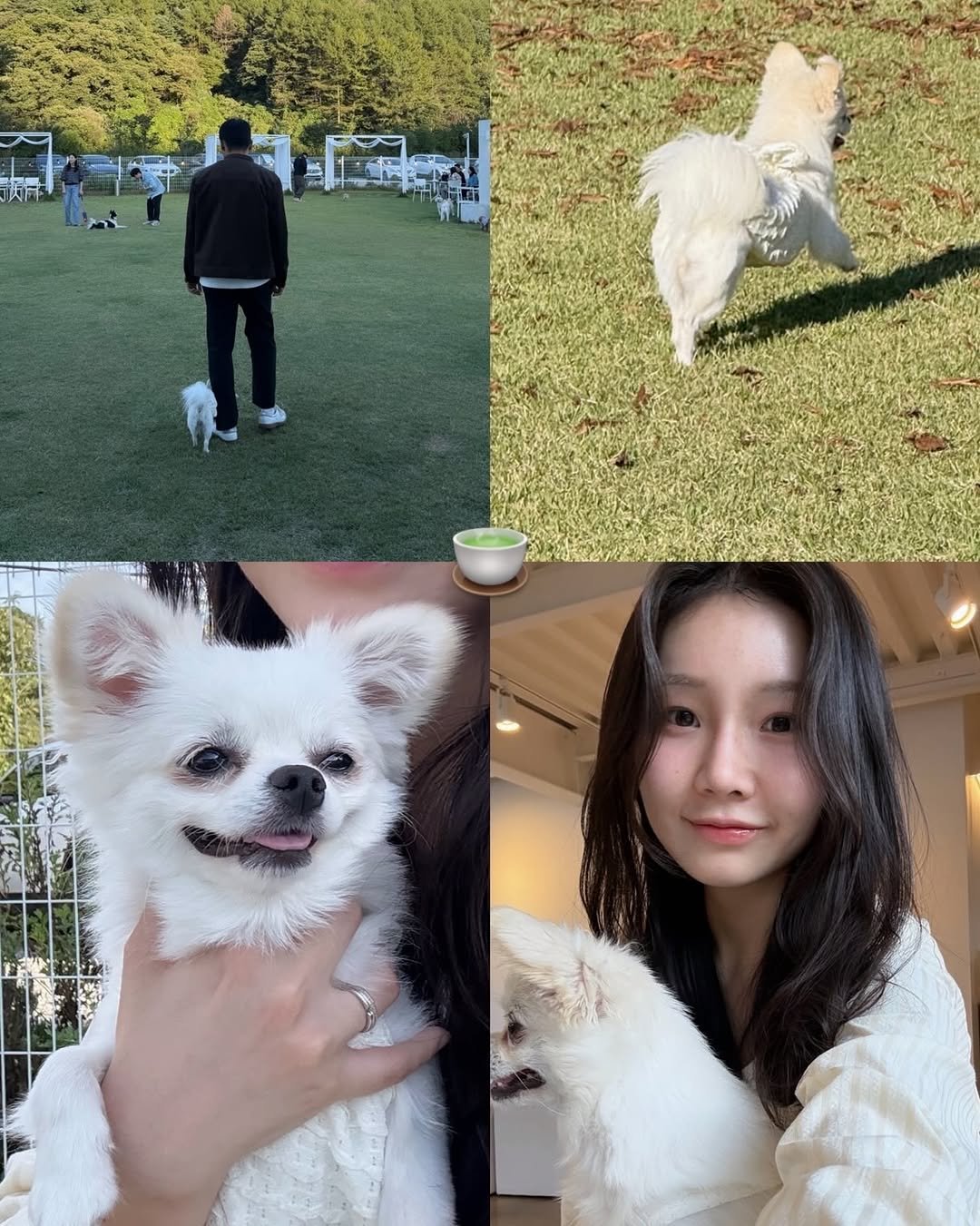 Photo by 여온쌤 | 다움바디스튜디오 원장 on October 10, 2025. May be an image of Pekinese, chihuahua, park and text.
