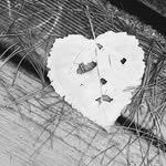 susemee 프로필 사진