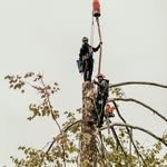 craigstree_service 프로필 사진