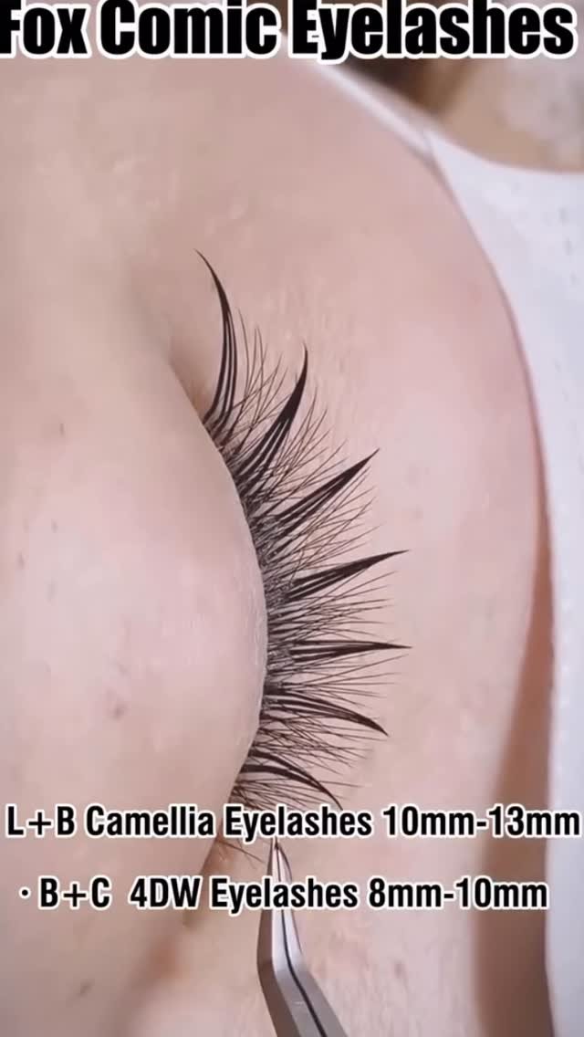 darebeauty_lashsupplier 게시물 이미지: Fox Manga Lashes: 

✨Follow me to get more...