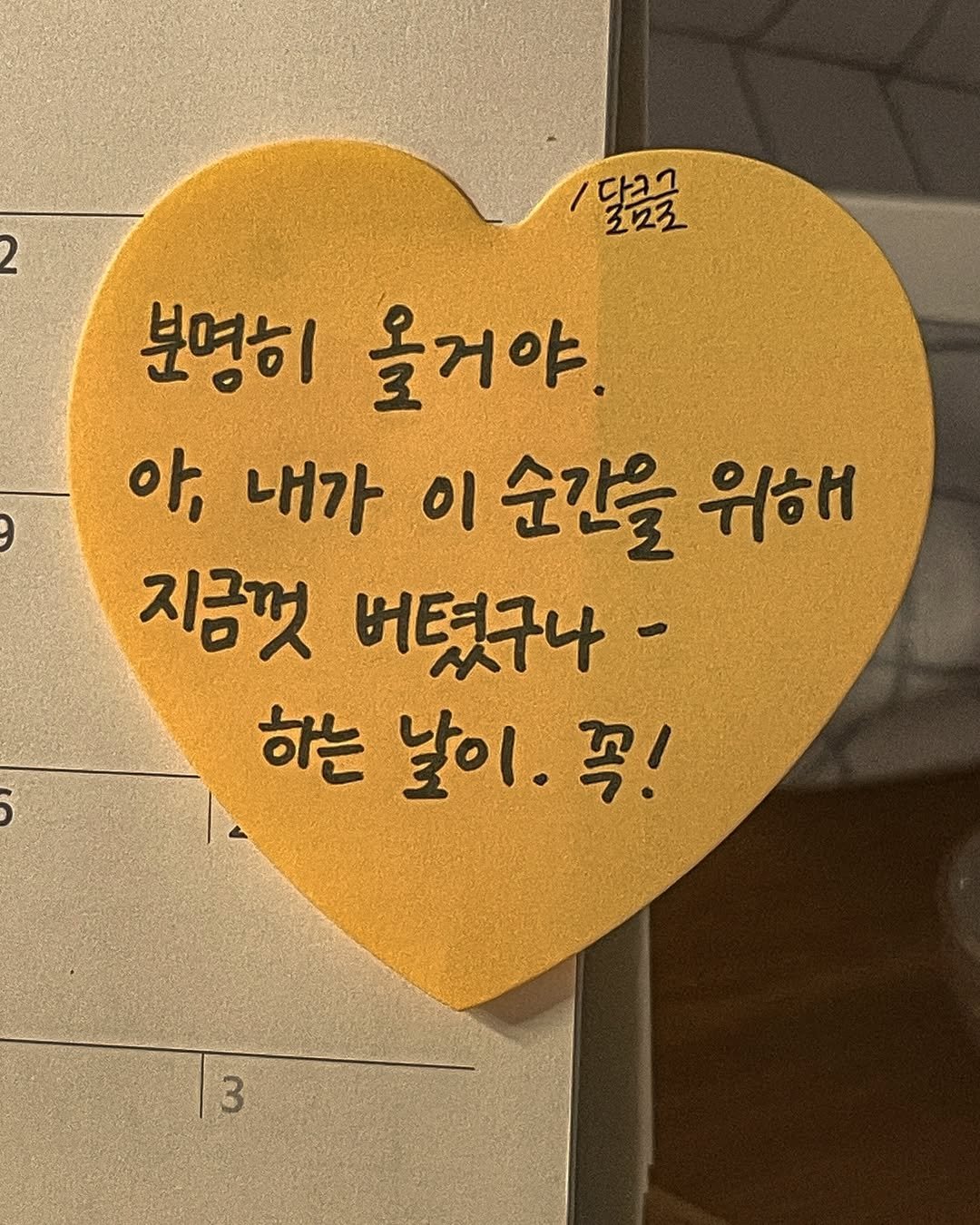 Photo by 달큼글, 예원 on July 18, 2024.