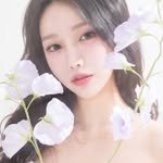 glossy_pmu 프로필 사진