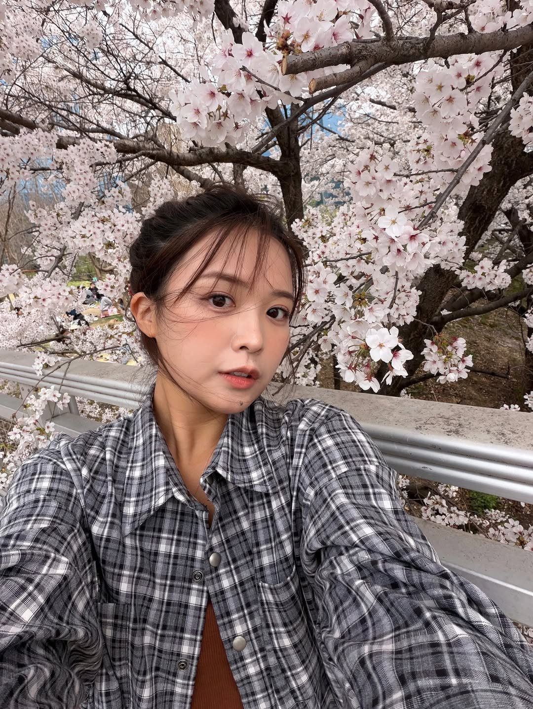 Photo by 김 다혜 / Dahye kim on April 02, 2026. May be an image of stone-fruit tree and text.