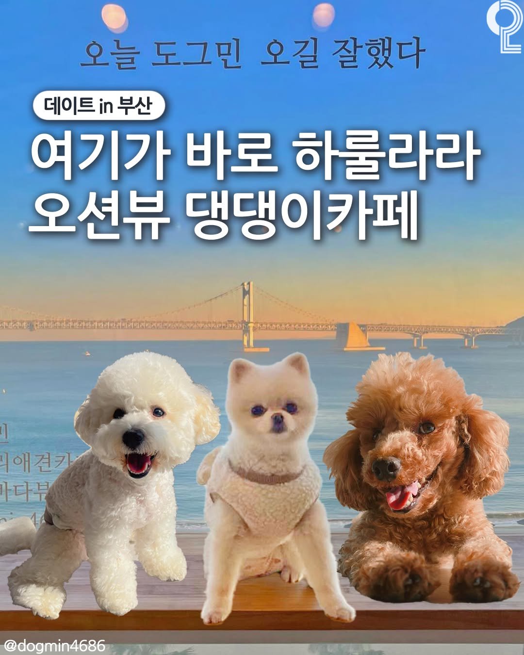 Photo by 데이트in부산 (부산데이트장소 정리해드립니다!) on July 24, 2025. May be an image of text.