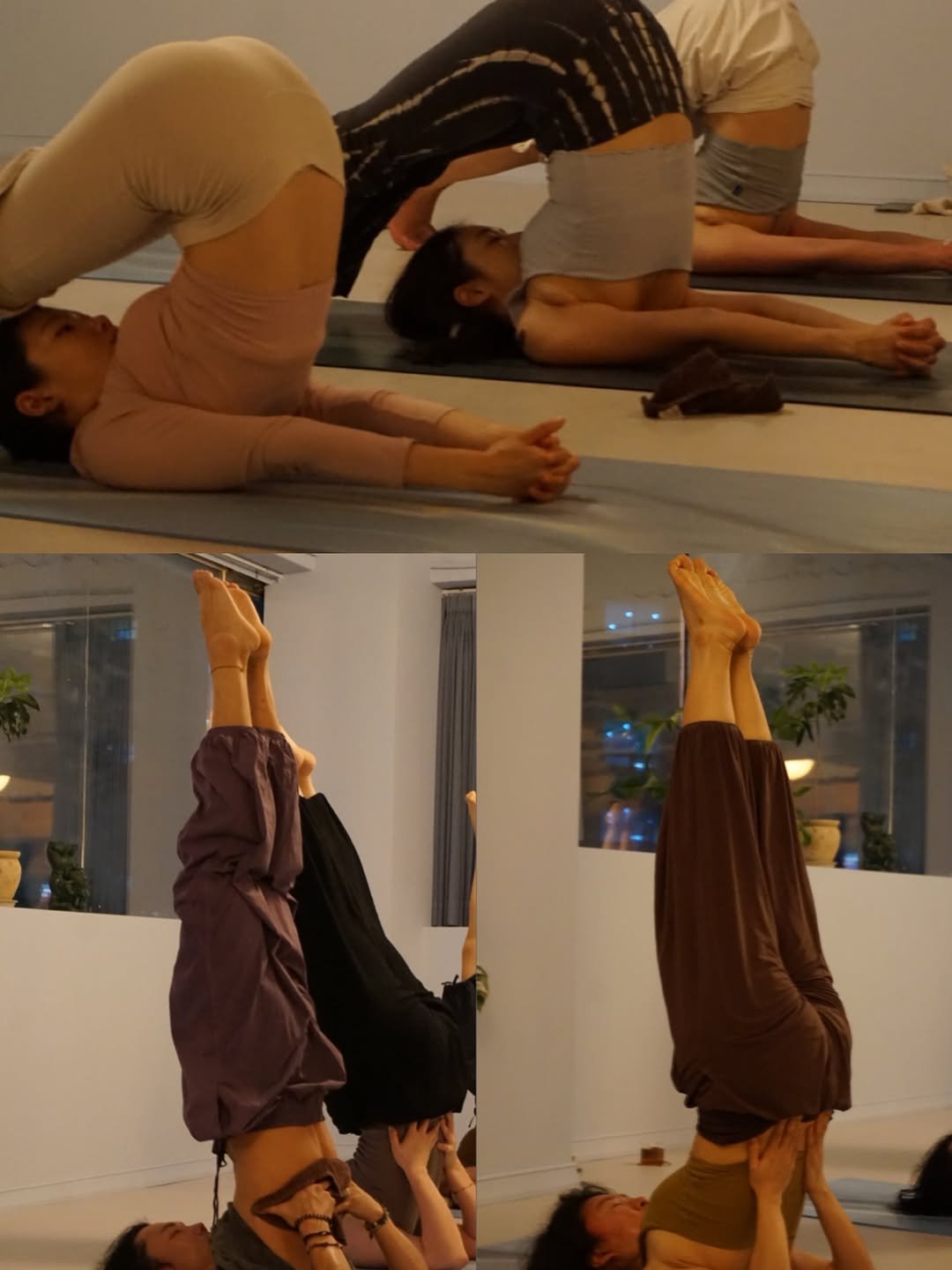 dave_yogastudio 게시물 이미지: 일부러 노력하지 않는다면 거꾸로 서 있을 일은 없을거에요.

헌데 분명, 거꾸로...