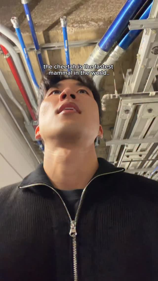 davidchosenone 게시물 이미지: i’m scared 🆘🆘