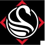 blackswangroupltd 프로필 사진