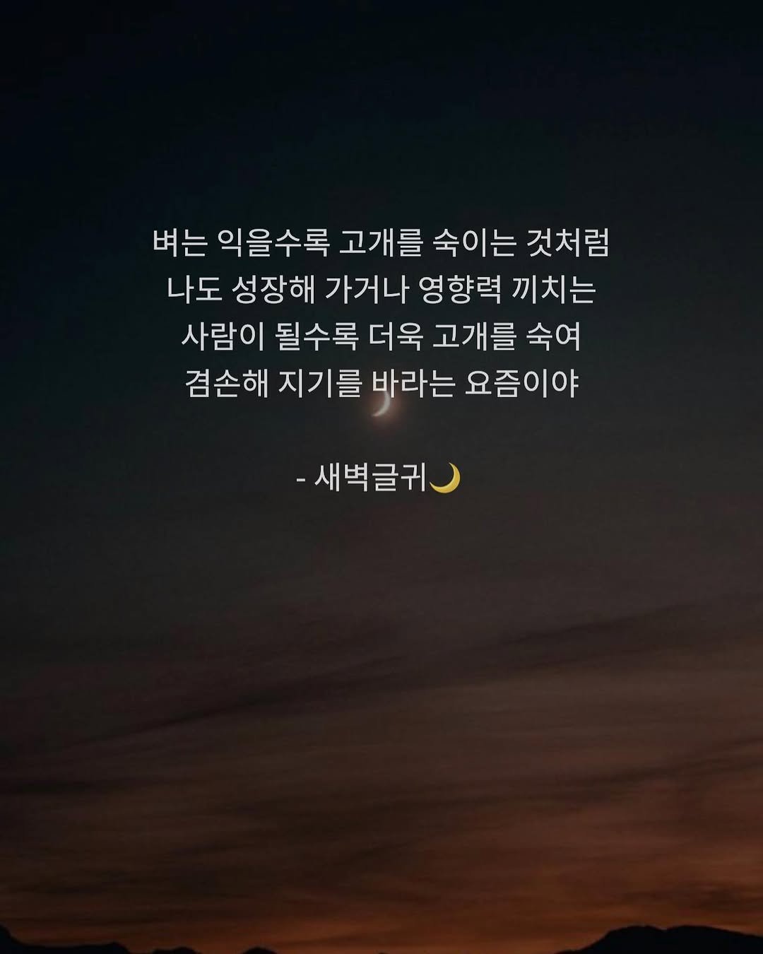 dawn._.writing 게시물 이미지: #첫줄 #첫줄반사
-새벽글귀🌙
.
.
.
#새벽 #글귀 #새벽글귀 #감성...