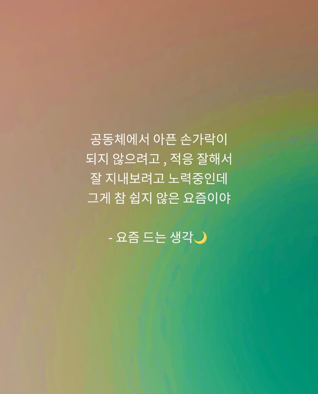 Photo by 새벽 글귀 🌙 on December 16, 2022.