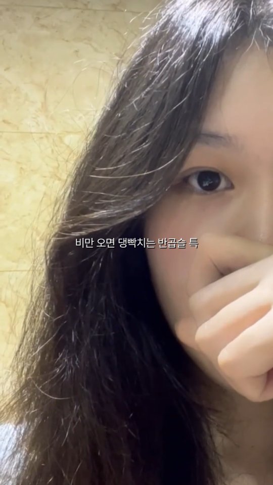 daye0n.iii 게시물 이미지: 비만 오면 해그리드보면 반곱슬 특ㅜㅜㅜ
고데기 해도 10분 못 가고 드라이 하면 더...
