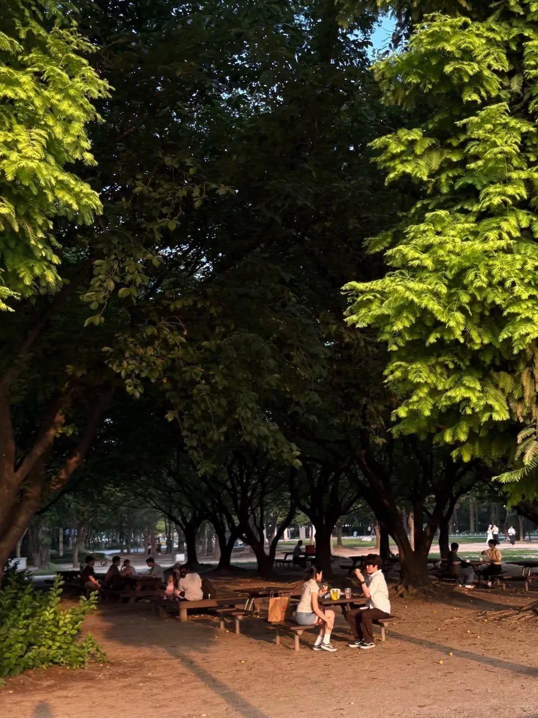 Photo by 꿈나무 다효니ʕ •ﻌ•ྀིྀིʔ on July 09, 2025. May be an image of park.