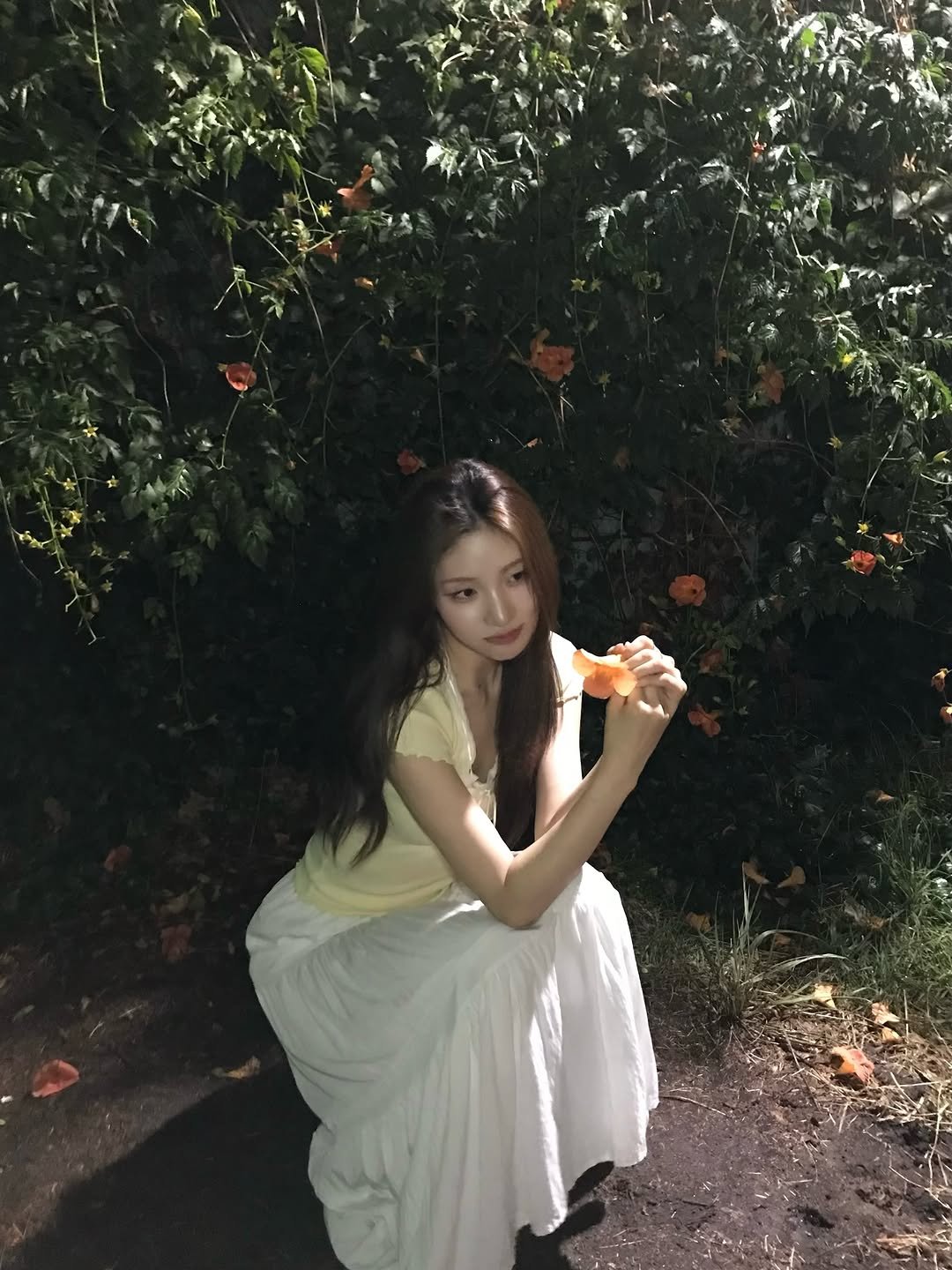 daye1014 게시물 이미지: 능소화...

너무 이뿌지!!🧡

완전 감성있게 찍히지 않아쏘?ㅎㅎ

근데...