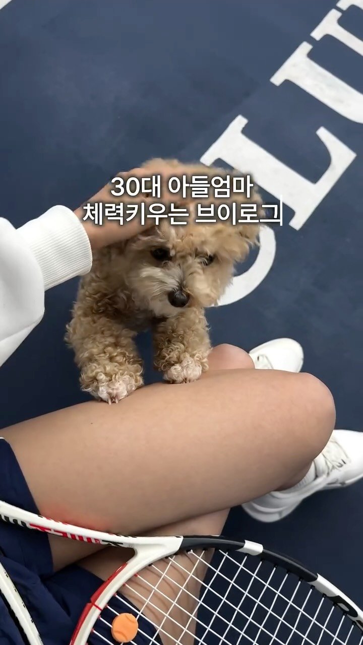 daylight_journal 게시물 이미지: 오늘 체력방전 입니다..하 ㅎㅎ 오늘 푹쉬고 
내일 늦잠 후에 가까운곳에...