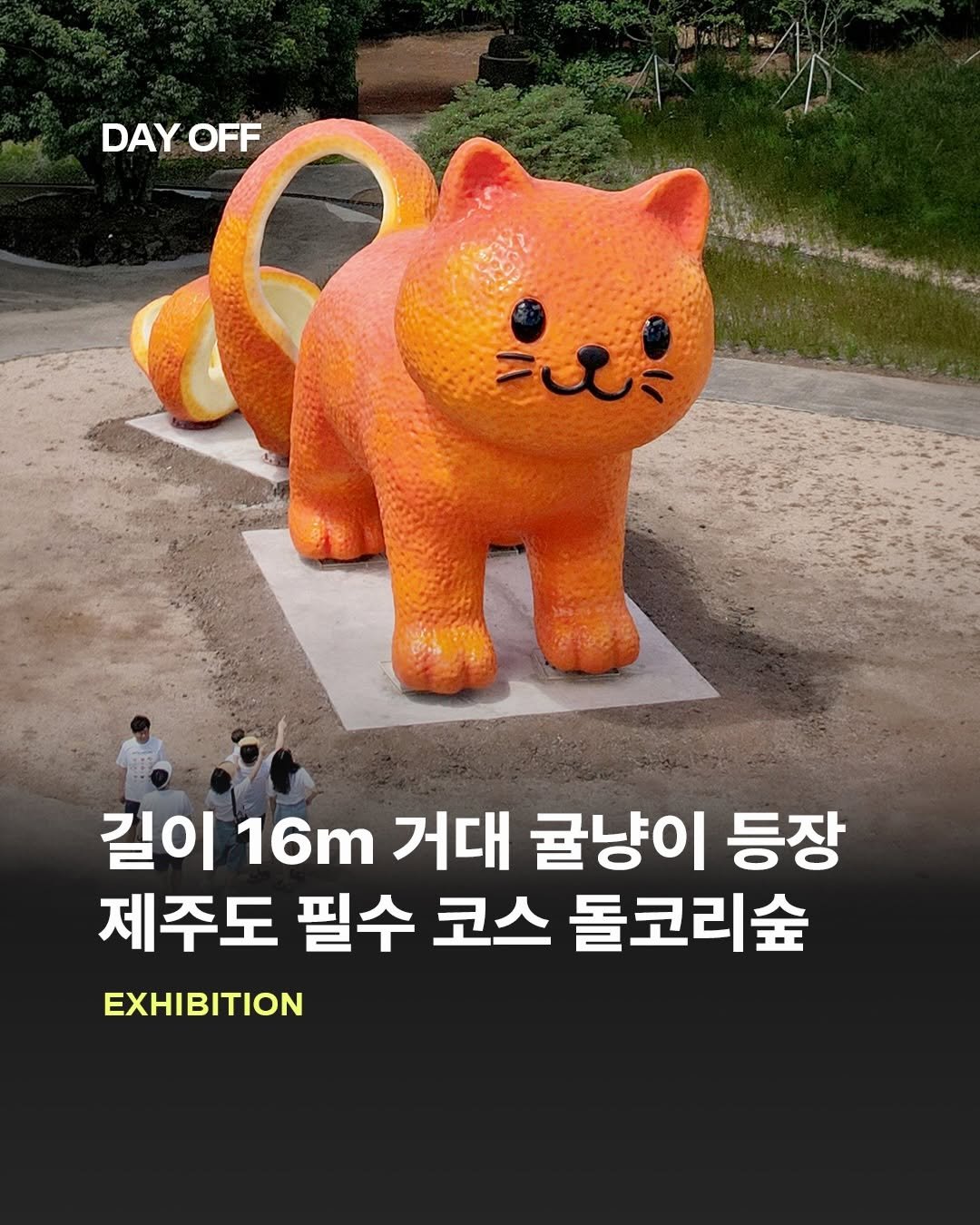 dayoff_mag 게시물 이미지: #광고 16m 거대 귤냥이 등장한 제주도 실시간🍊🐱

제주도 떠오르는 랜드마크...