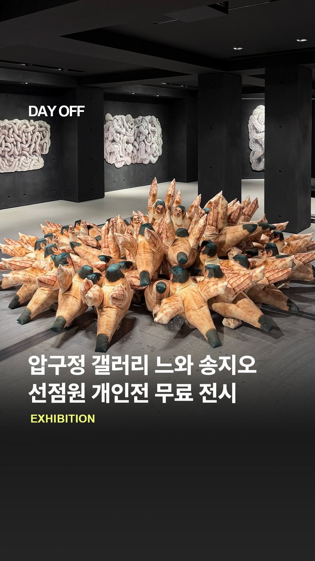 dayoff_mag 게시물 이미지: 비둘기가 된 인간&양이 된 인간 압구정 무료 전시
선점원 작가의 갤러리 느와 송지오...