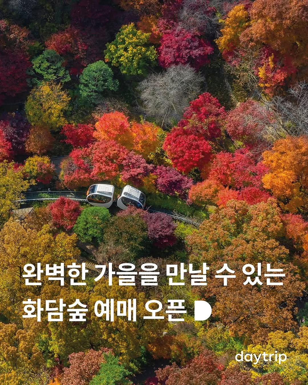 Photo shared by 데이트립 on September 22, 2025 tagging @hwadamsup. May be an image of outdoors and text that says '완벽한 가을을 만날 만날수있는 수 있는 화담숲 예매 오픈 daytrip trip day'.