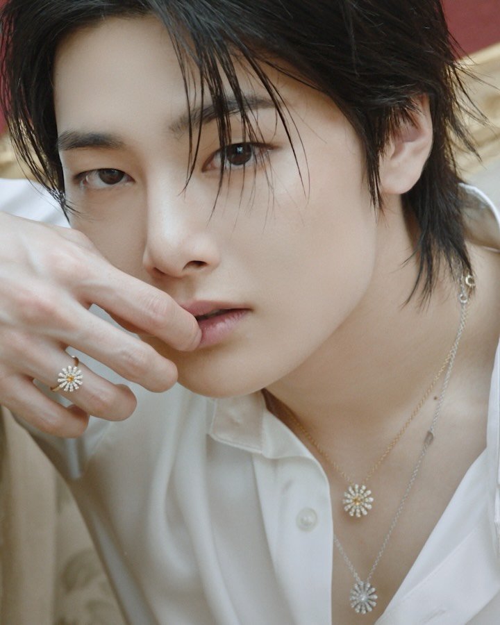 dazedkorea 게시물 이미지: DAMINANI HOLIDAY 2025...