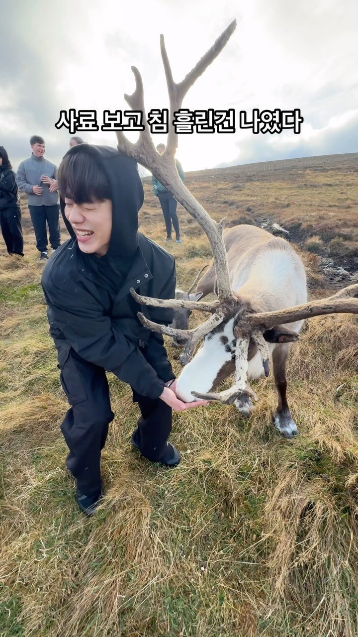 db_seojoon 게시물 이미지: 첫 해외 다녀와봤슴다 

마이프로틴 회사 덕분에 영국에 왔어요!

지금 할인이벤트...