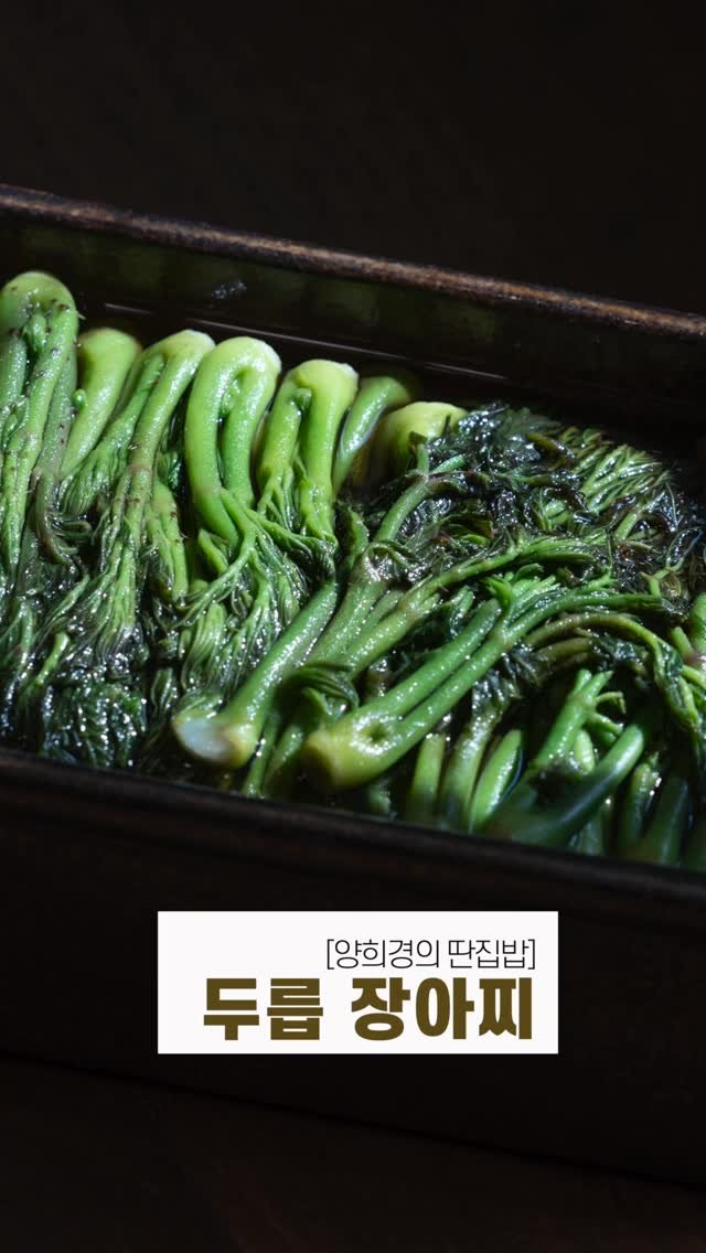ddanzip_bab 게시물 이미지: 봄 향기 가득! 실패 없는 딴집밥의 두릅 장아찌 황금 레시피 🤗

[봄의 보약,...