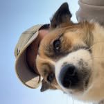 yeonn.i 프로필 사진