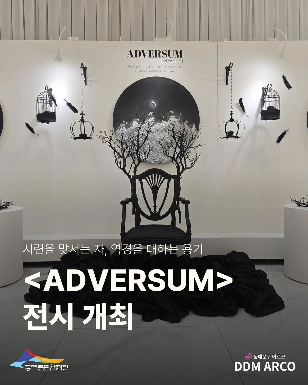 ddmfac_official 게시물 이미지: 시련을 맞서는 자, 역경을 대하는 용기 🏛️✨

역경을 피하지 않고 정면으로 응시할...