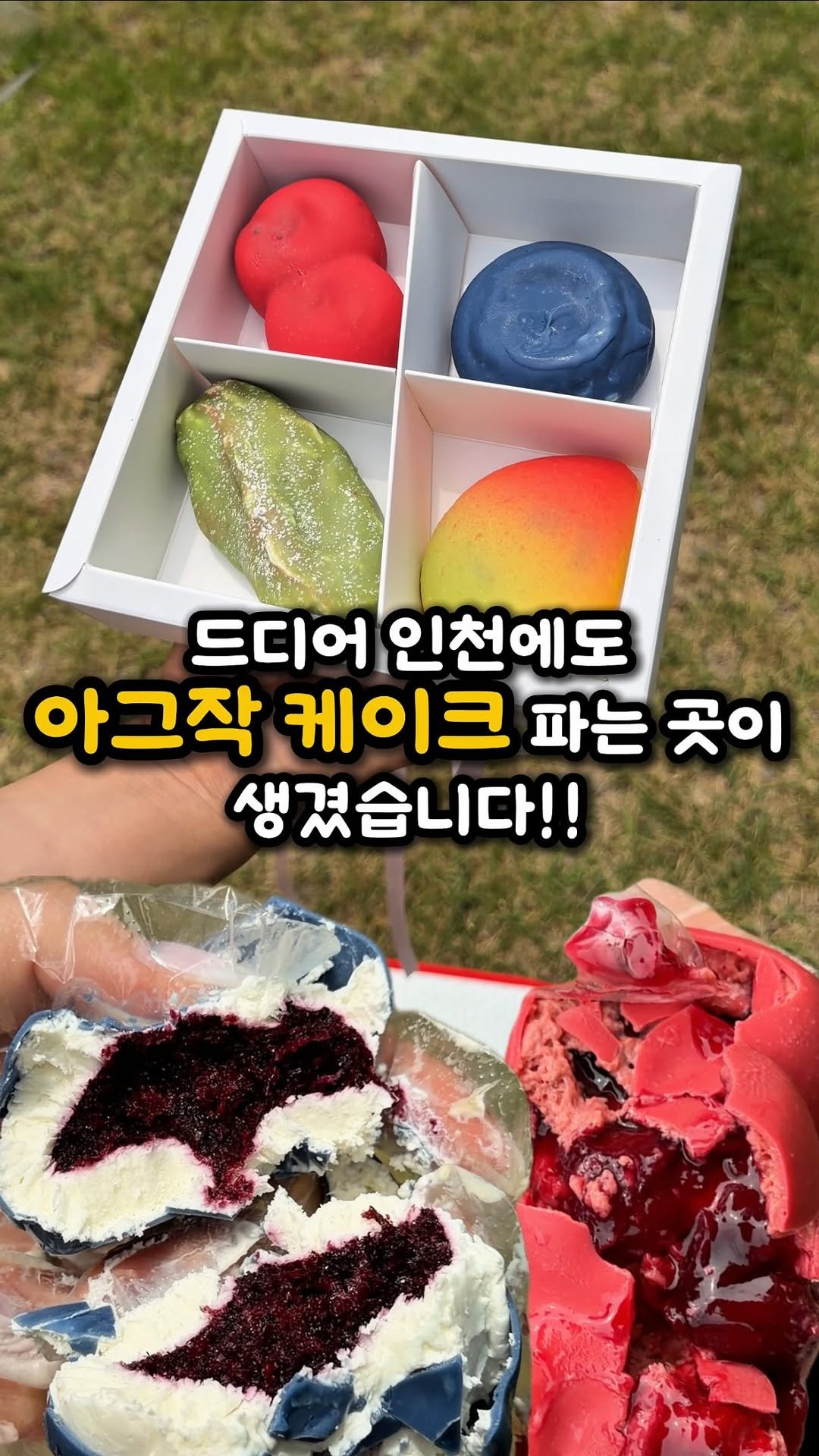 ddo_sil 게시물 이미지: 인천 최초로 아그작 케이크 파는 곳 찾았습니다❗️

여기는 인천 연수동에 위치한...