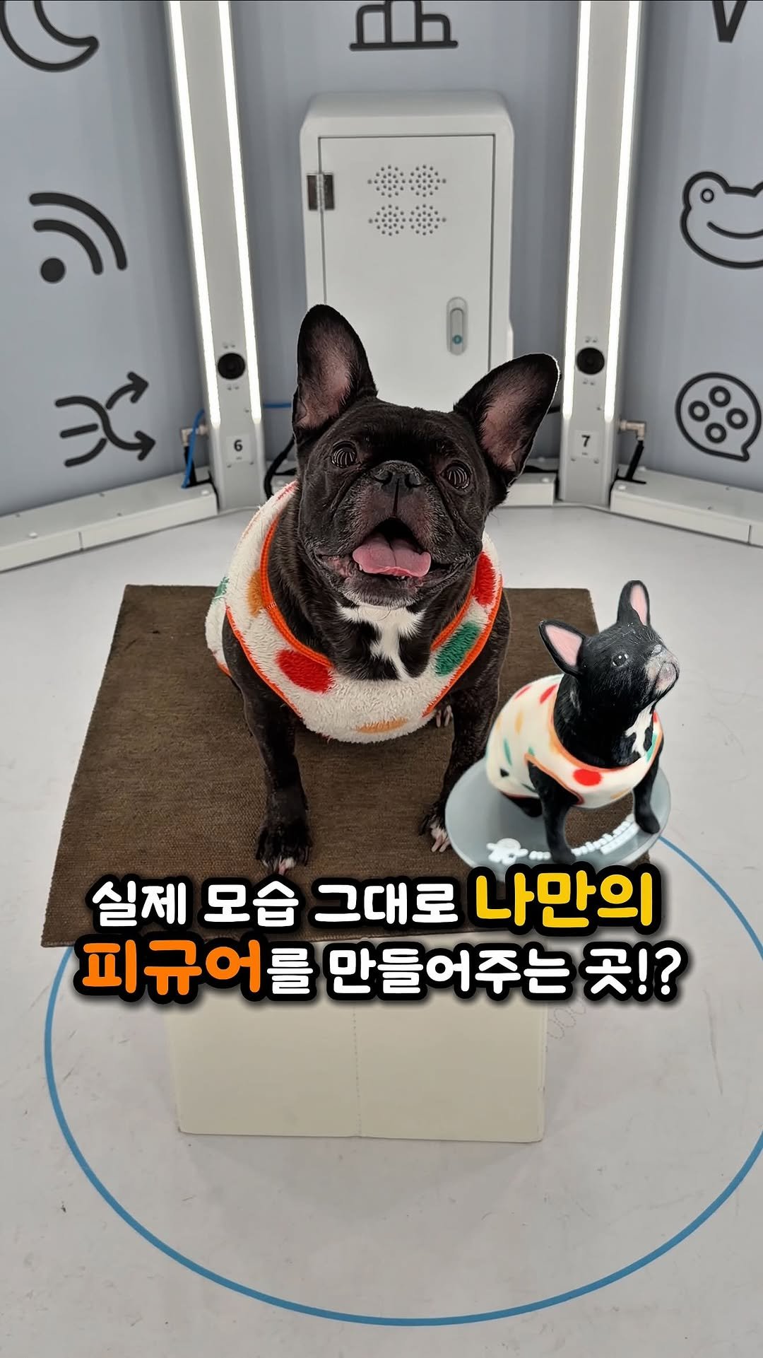 ddo_sil 게시물 이미지: 반려동물 키우는 분들 주목❗️

여긴 인천 송도에 위치한 ’마이미니미‘
라는...