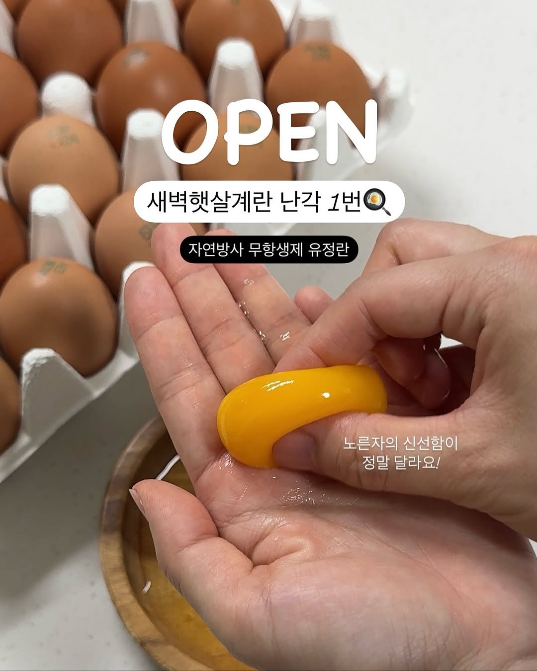 Photo by 또후니맘💛 | 육아고민 쉽고 간결하게 해결해요 (임채린) on August 21, 2025. May be an image of egg yolk and text that says 'OPEN 새벽햇살계란 난각 1번 자연방사 무항생제 유정란 노른자의신선함이 노른자의 신선함이 정말 달라요!'.