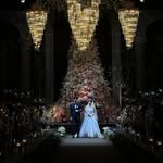 ddok.bubu 인스타그램 프로필 사진