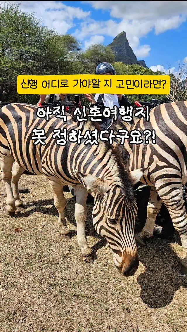 ddok.bubu 게시물 이미지: @@예비신부, 신랑에게 공유해서 신혼여행 정해보세요❤️

스드메 계약까지 끝~✨️...