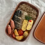 hosino_nitki 프로필 사진