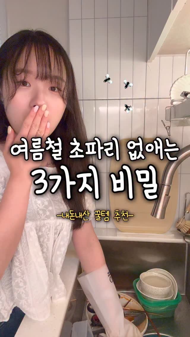 ddolongs_meal 게시물 이미지: 여름철이면 더 말썽인 초파리 🙉
저만 거슬리고 짜증나나요!??
자취 초반에는...