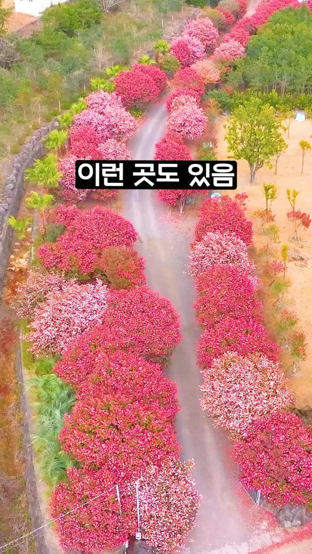 ddoo_pd 게시물 이미지: (함께 가고 싶은 분께 공유 필수)
이런 곳도 있음

위미리3760

많이...