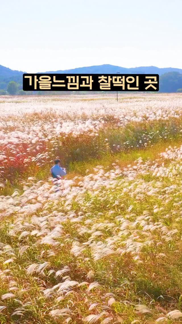 ddoo_pd 게시물 이미지: (공유해서 여행 계획 세워보세요)
가을 느낌과 찰떡인 곳

가을 하면 많은 여행지가...
