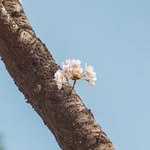hong____pic 프로필 사진