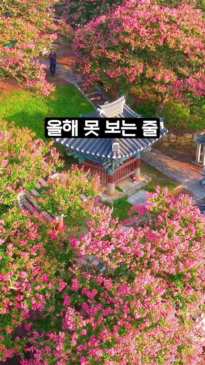 ddoo_pd 게시물 이미지: (공유해서 여행 계획 세워보세요)
올해 못 보는 줄

정읍 서현사지

작년에 정말...
