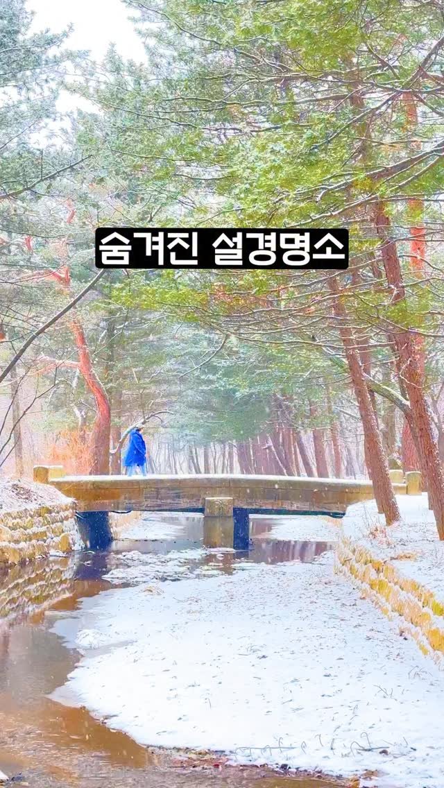 ddoo_pd 게시물 이미지: (함께 가고 싶은 분께 공유 필수)
숨겨진 설경 명소

구리 동구릉

방문객도 많지...