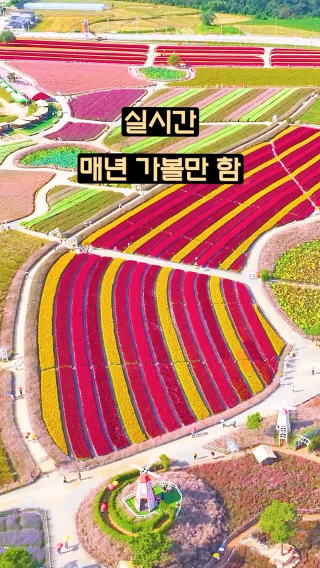 ddoo_pd 게시물 이미지: (공유해서 여행 계획 세워보세요)
매년 가볼만함
실시간

철원 고석정 꽃밭

올해도...
