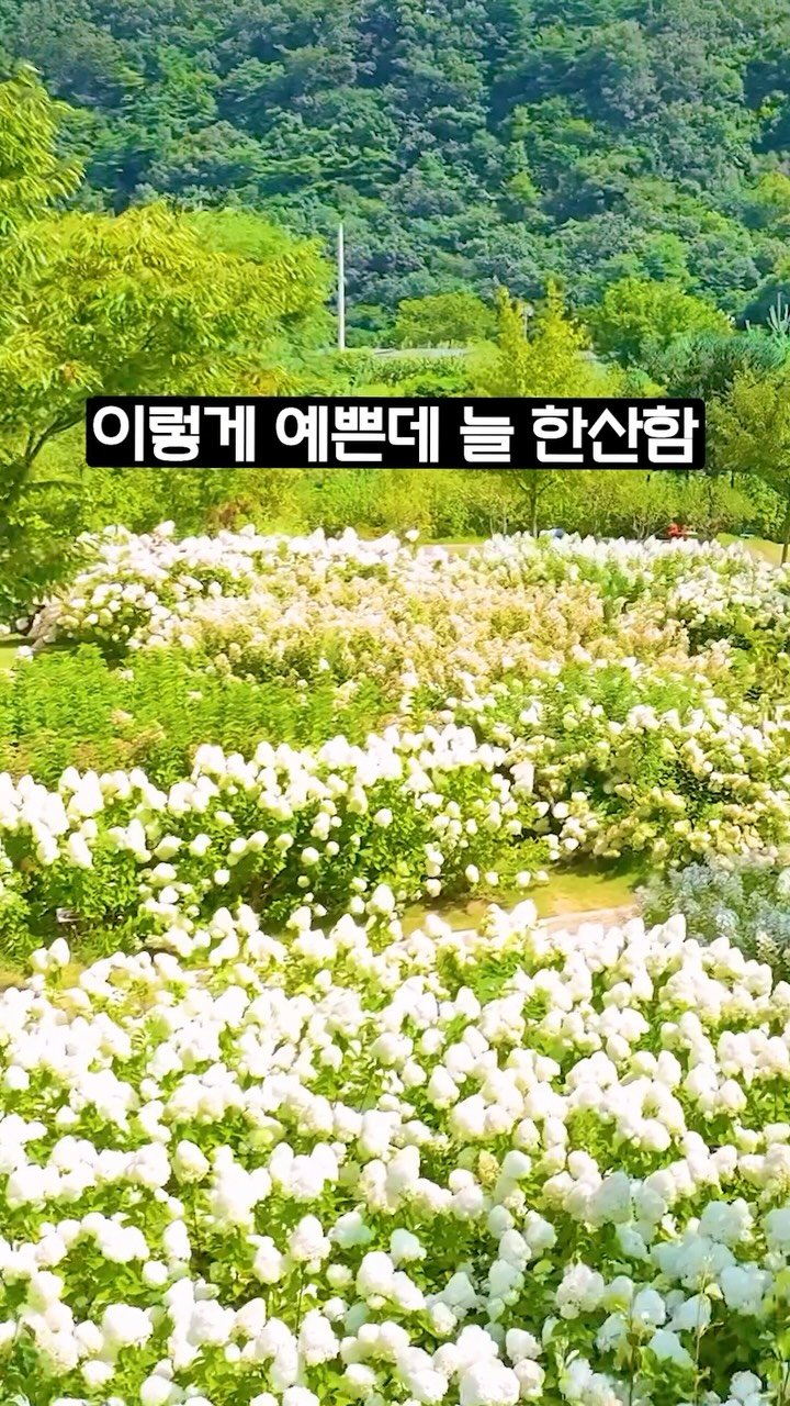 ddoo_pd 게시물 이미지: (공유해서 여행 계획 세워보세요)
항상 방문객이 적어서 좋음

영월 동서강연당원...