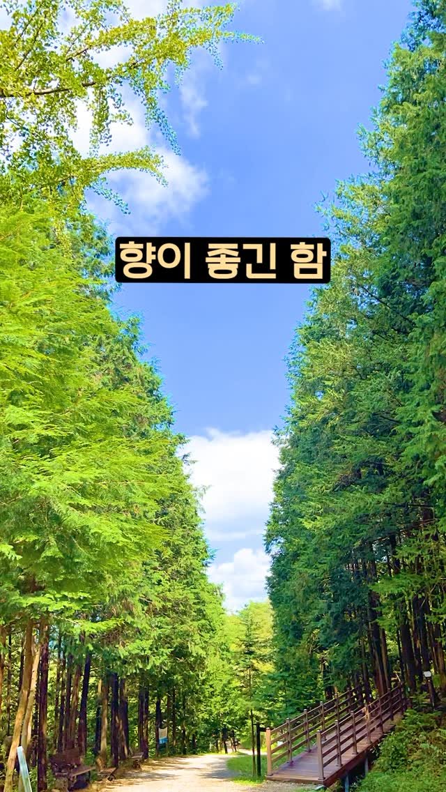 ddoo_pd 게시물 이미지: (공유해서 여행 계획 세워보세요)
향이 좋긴함

완주 공기마을 편백나무숲

10만...