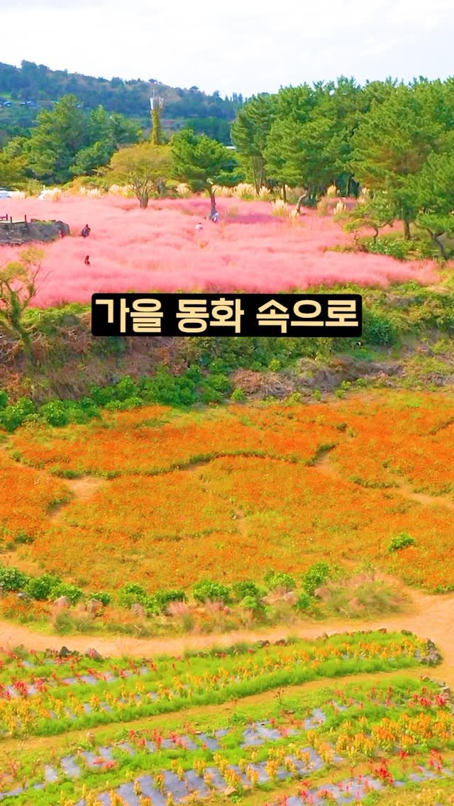 ddoo_pd 게시물 이미지: (공유해서 여행 계획 세워보세요)
가을 동화속으로

새미동산

제주의 가을...