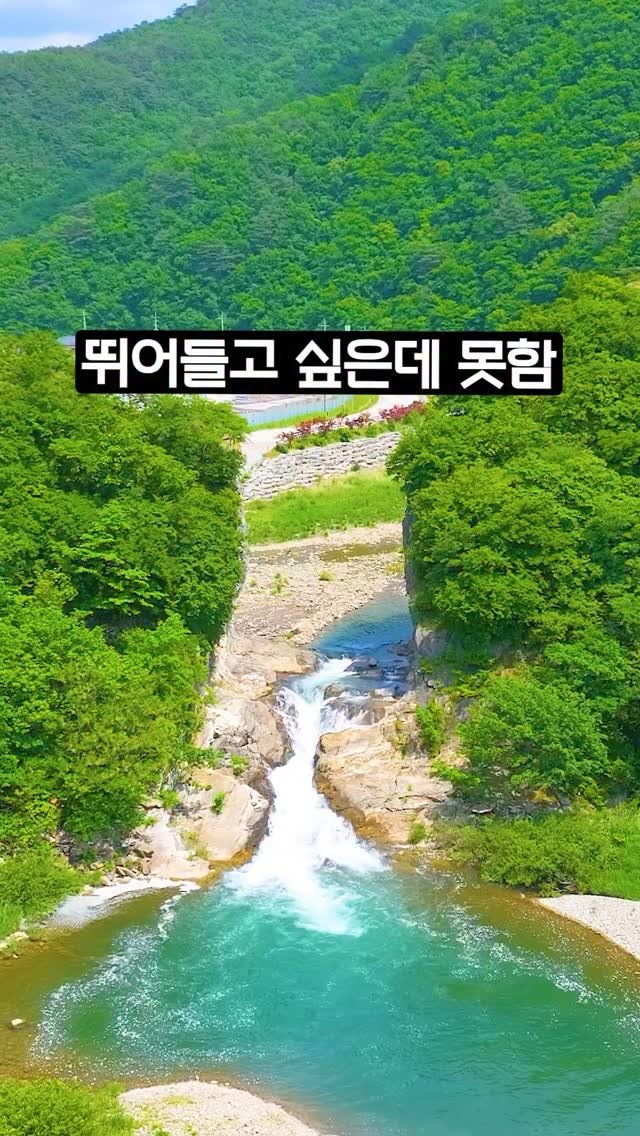 ddoo_pd 게시물 이미지: (공유해서 여행 계획 세워보세요)
뛰어들고 싶은데 못함

정선 미리내 폭포

와인잔...