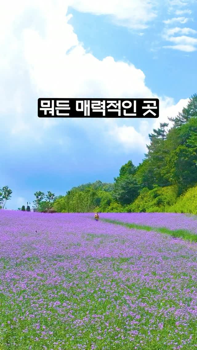 ddoo_pd 게시물 이미지: (공유해서 여행 계획 세워보세요)
뭐든 매력적인곳

정선 병방치스카이워크

매년...