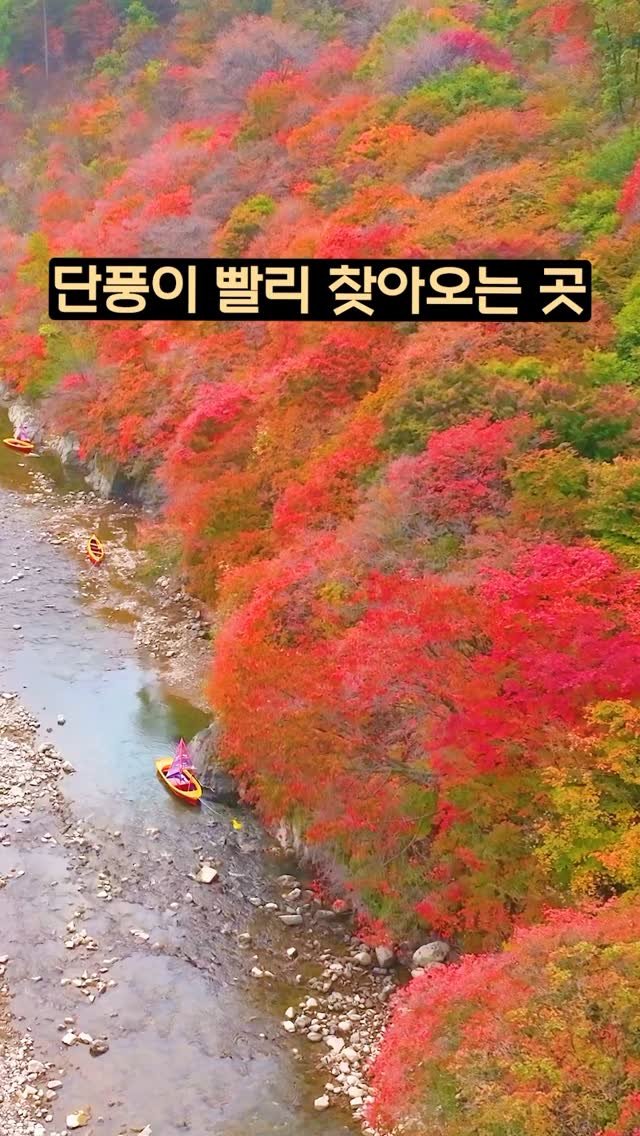 ddoo_pd 게시물 이미지: (공유해서 여행 계획 세워보세요)
단풍이 빨리 찾아오는 곳

태백 철암 단풍...