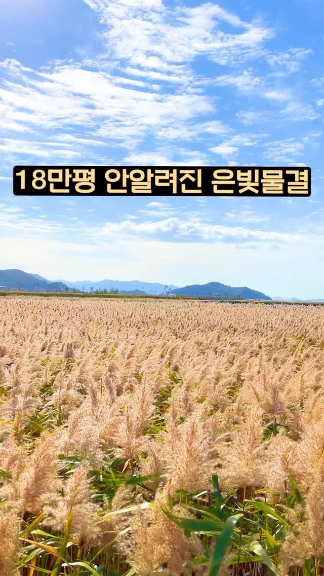 ddoo_pd 게시물 이미지: (공유해서 여행 계획 세워보세요)
18만 평 안알려진 은빛물결

개인적으로는 굉장히...