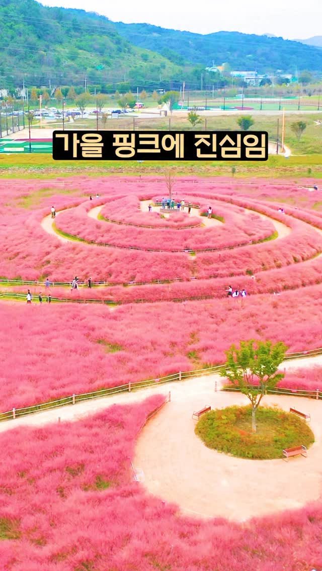ddoo_pd 게시물 이미지: (공유해서 여행 계획 세워보세요)
가을 핑크에 진심임

합천 신소양...