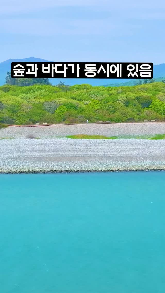 ddoo_pd 게시물 이미지: (공유해서 여행 계획 세워보세요)
숲과 바다가 동시에 있음

완도 정도리...