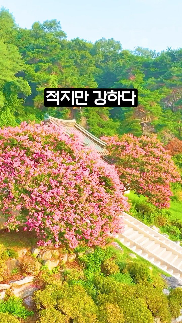 ddoo_pd 게시물 이미지: (공유해서 여행 계획 세워보세요)
적지만 강하다

아산 모선사

수량이 많지...